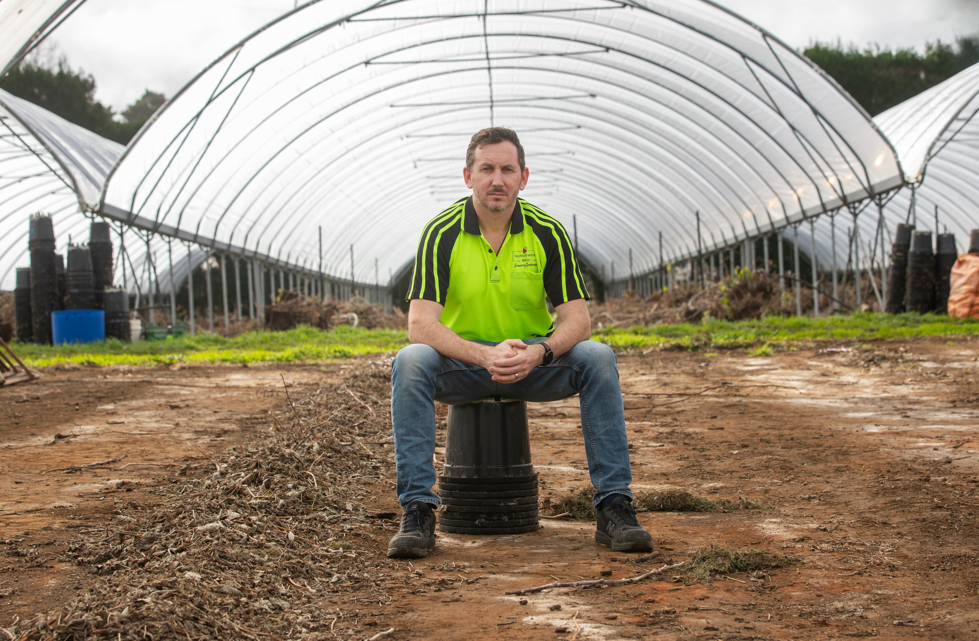 Man sitting on upturned bucket in front of horticultural tunnel houses